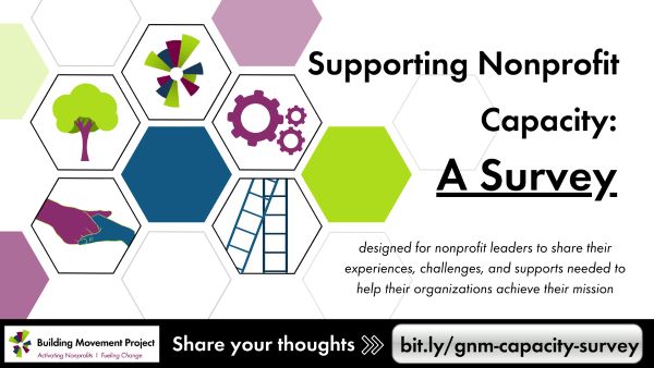 Nonprofit Capacity Survey