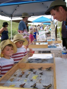 Folks of all ages love to learn about butterflies.