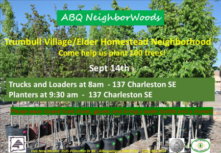 ABQ NeighborWoods tree planting in Trumbull Village Fall 2019