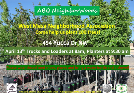 ABQ NeighborWoods tree planting in West Mesa Neighborhood