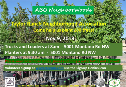 ABQ NeighborWoods Tree Planting in Taylor Ranch