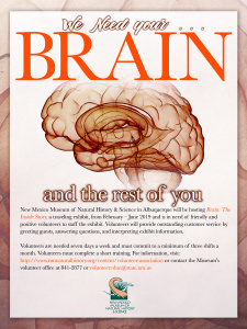 Brain: The Inside Story Exhibit Volunteers