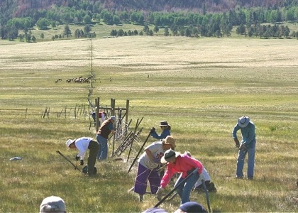 Fence Removal in Valle Grande, Valles Caldera