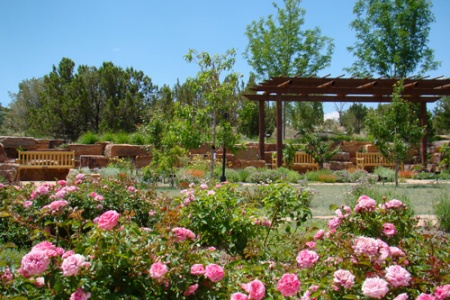 The Santa Fe Botanical Garden at Museum Hill introduces visitors to a collection of native and adapted  plants sure to thrive in our arid climate. Designed by  W. Gary Smith, Phase One, the Orchard Gardens, opened  in 2013. Its centerpiece is a fruit tree orchard surrounded  by pathways and a rich tapestry of perennials, lavender  and roses. Phase Two, Ojos y Manos, will open soon.  There is no other place in Santa Fe where you can go  to be so fully immersed in the beauty of plants.